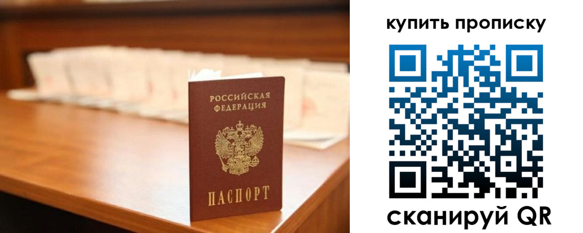 прописка 2025 в Щиграх